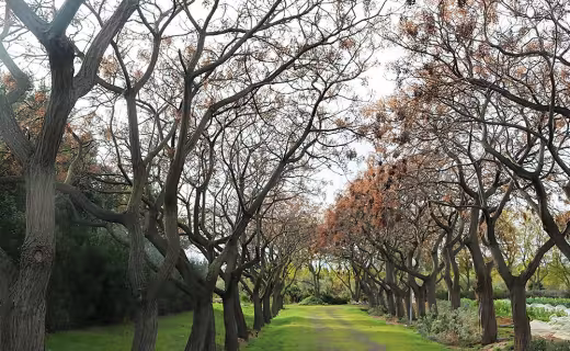 Foto del centro Institut d'Horticultura i Jardineria