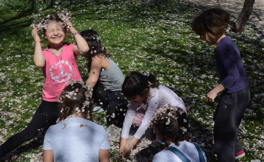 Foto del centro Colegio Mayrit Escuela Activa (Eeuu)