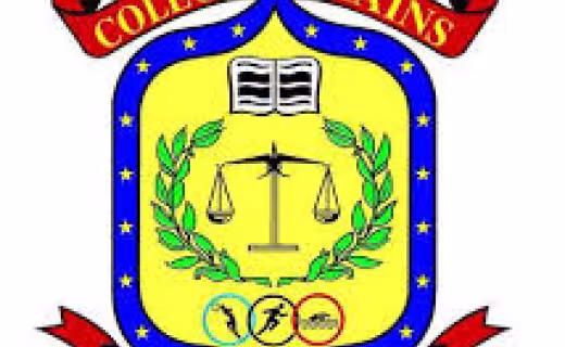 Foto del centro Colegio Brains