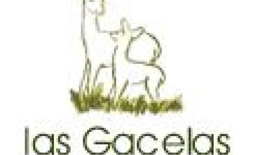 Foto del centro Escuela infantil Las Gacelas